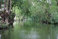 (25) Le Marais Poitevin
